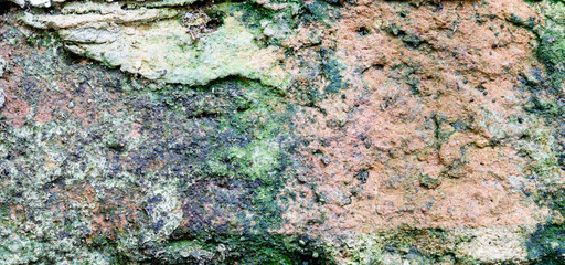 Green moss covered stone texture, background