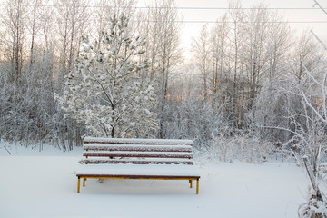 Wooden bench powdered with white fluffy snow