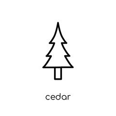 Obraz premium Cedar icon. Trendy modern flat linear vector Cedar icon on white background from thin line nature collection