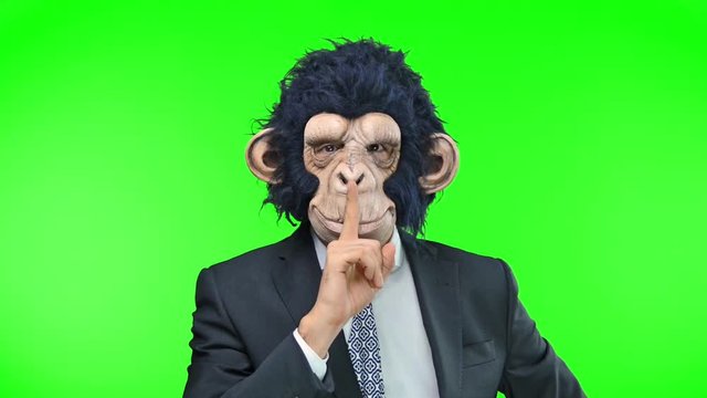 Monkey man on green screen chroma key background