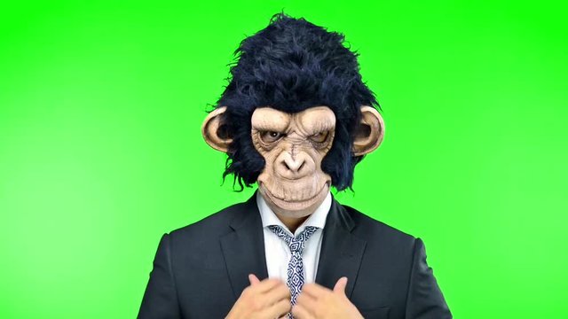 Monkey man on green screen chroma key background