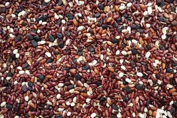 background of kidney beans