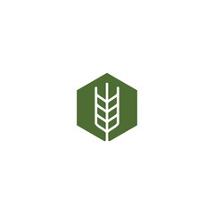 farmer box wheat logo vector icon hexagon