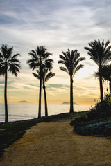 Obraz na płótnie Canvas The view of Strait of Gibraltar between palm trees on the Mediterranean coast. Estepona. Costa del Sol. Spain