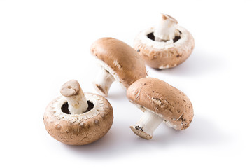 Mushrooms isolated on white background

