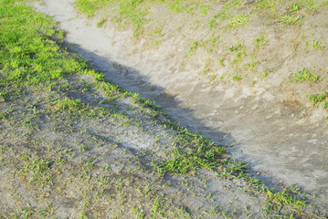 草　土　道　素材