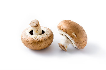 Mushrooms isolated on white background

