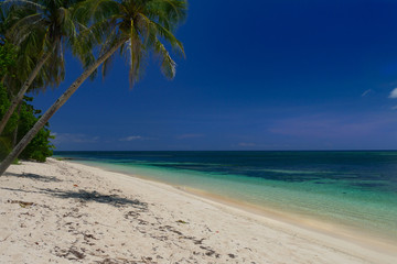 Fototapeta na wymiar philippines beach blue water white beach