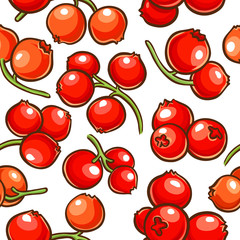 cranberry berries vector pattern