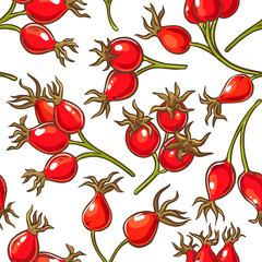 dog rose berries vector pattern