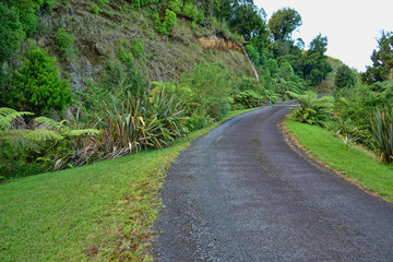 Fototapeta na wymiar Winding roadway in the rainforest greenery