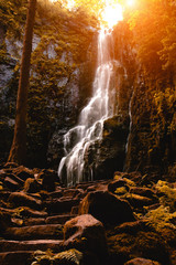 Burgbach Wasserfall Schwarzwald 