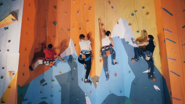 Group of people are climbing a wall in a bouldering gym