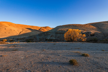 Autumn mountain landscape