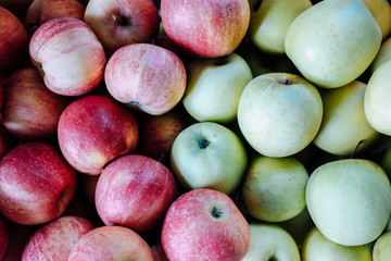 Fresh green and red apples