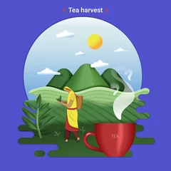 Foto op Aluminium Flat farm landscape illustration of tea harvest. Rural landscape with tea hills and tea field. The woman harvesting tea leaves. © messer16