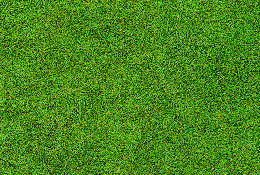 background and texture of beautiful green grass pattern from golf course