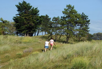Fototapeta premium Deux personnes dans les dunes de la baie du Mont-Saint-Michel, département de la Manche, Normandie, France