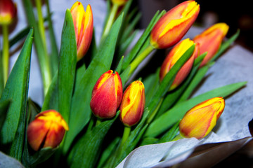 Bouquet red and yellow tulips in a package on dark background.  Beautiful fresh tulips for women on mother's Day, March 8 and Valentine's Day. Tulips flowers background. Selective focus. Flowers photo