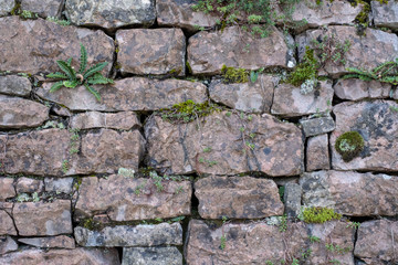 old stone brick wall with green grass