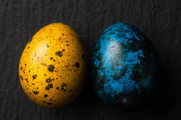 quail yellow and blue Easter eggs, symbol of Ukraine