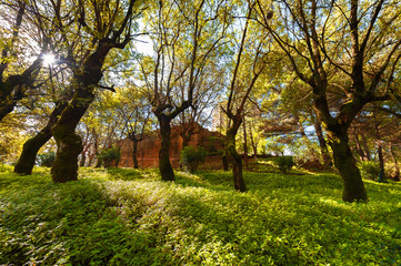 the tower of Frederick II in the centre of the historic city of Enna, Sicily