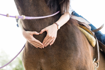 Woman Representing Love While Making Heart Shape On Horse