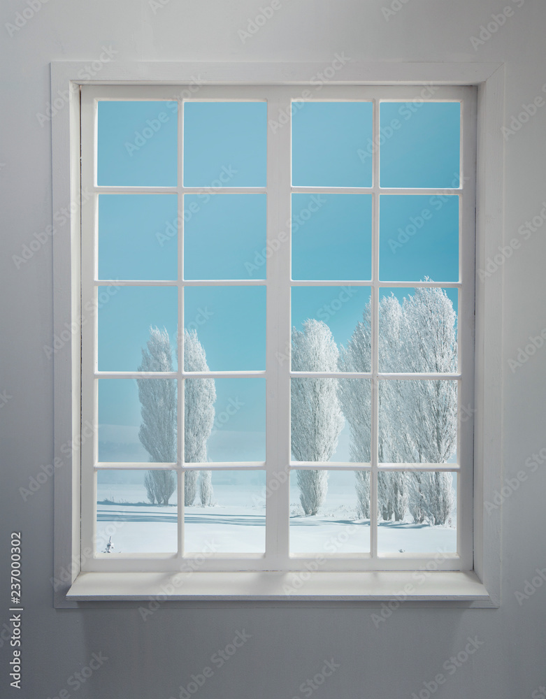 Wall mural modern residential window with snow and trees