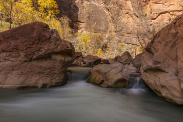 Fototapeta na wymiar Virgin River Flows Trough Zion National Park in Autumn