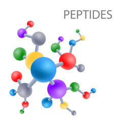 Peptide structure the structure of the amino acid, vector - obrazy, fototapety, plakaty