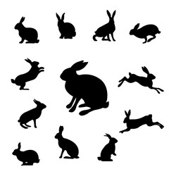 Rabbit Set Isolated
