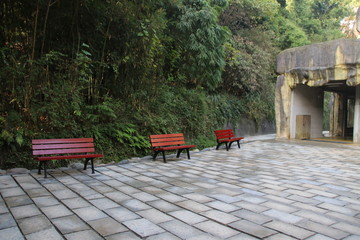 Waiting Area, wood Bench in the Park