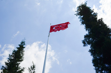 Waving a Turkish flag