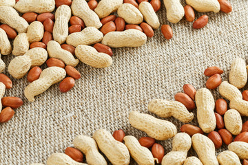 Roasted peanuts in a shell and peeled on a brown fabric background.