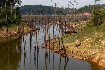 Macabre Laos landscape dry season