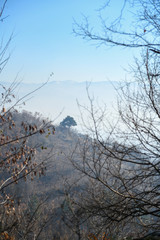 Fototapeta na wymiar Mountains in the fog. Tree landscape