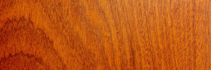 Header Mahagoni natur mit Jahresringen 3:1
