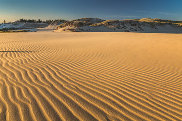 Dunes in national park in Poland