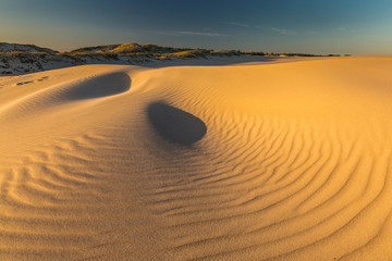 Dunes in national park in Poland - obrazy, fototapety, plakaty