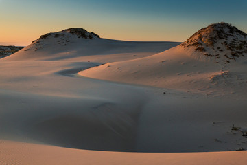 Fototapeta na wymiar Dunes in national park in Poland