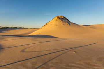Fototapeta na wymiar Dunes in national park in Poland