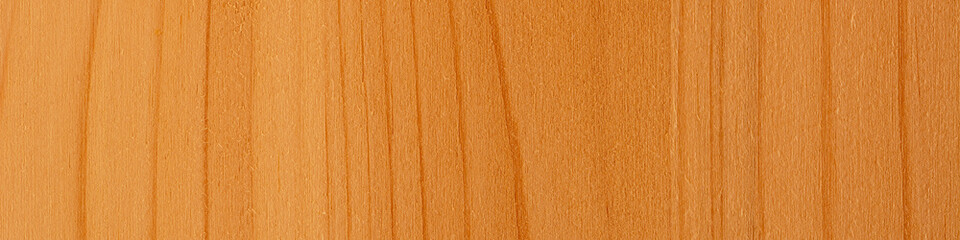 Fototapeta premium Header Fichte natur 4:1