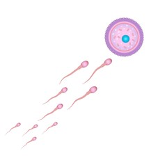 Fertilisation and ovulation concept. Medical and healthcare background with moving spermatozoons and female egg. Vector illustration isolated on white background.
