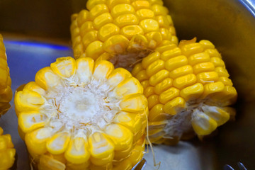 Grilled corn on cob bbq street food traditional Asian cuisine healthy food with onion oil 