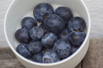 blueberries in a bowl
