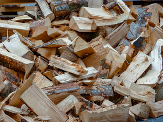 fresh cut fire wood