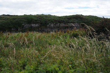 Fototapeta na wymiar Field in a Rock Wall