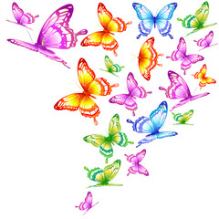 Fototapety  beautiful color butterflies,set, isolated  on a white