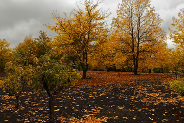 Otoño 
