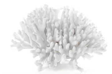 Spreading coral piece